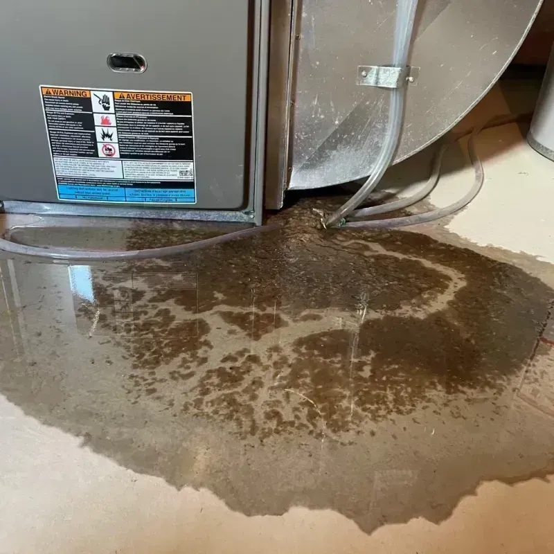 Appliance Leak Cleanup in Aspen, CO